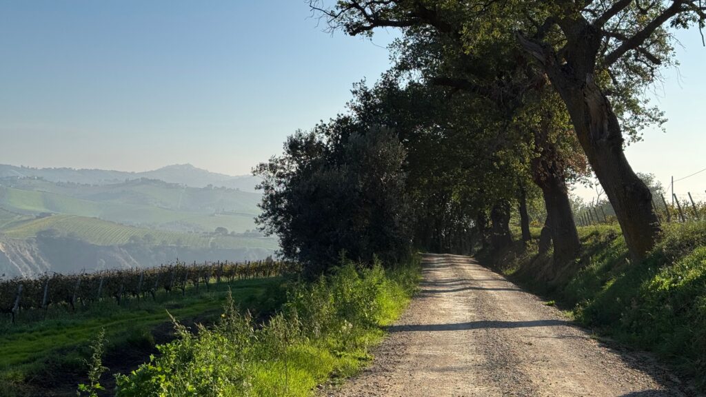 Le Marche