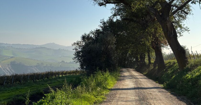 Wat te zien en doen tijdens een kampeervakantie in Le Marche
