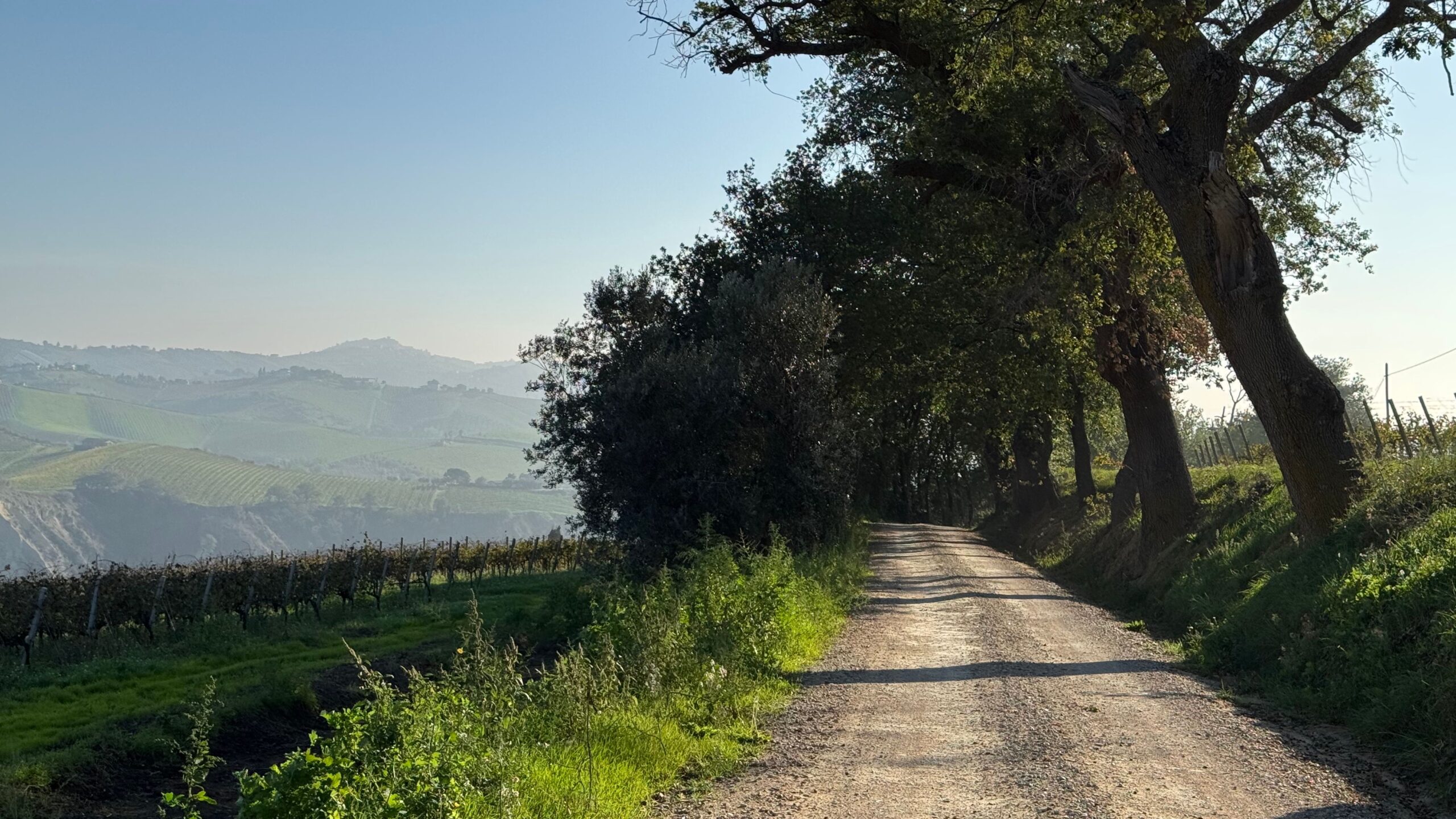 Le Marche